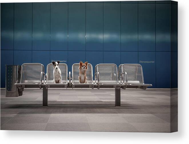 Dogs Canvas Print featuring the photograph Monday Morning... by Heike Willers