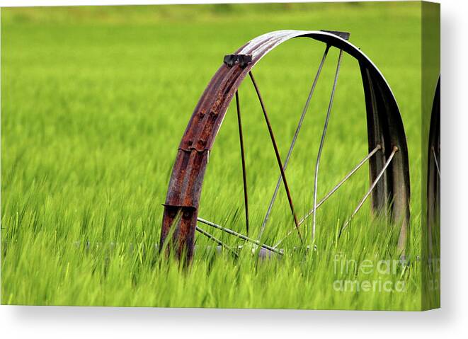 Montana Farm Canvas Print featuring the photograph Montana Rust by Terri Brewster