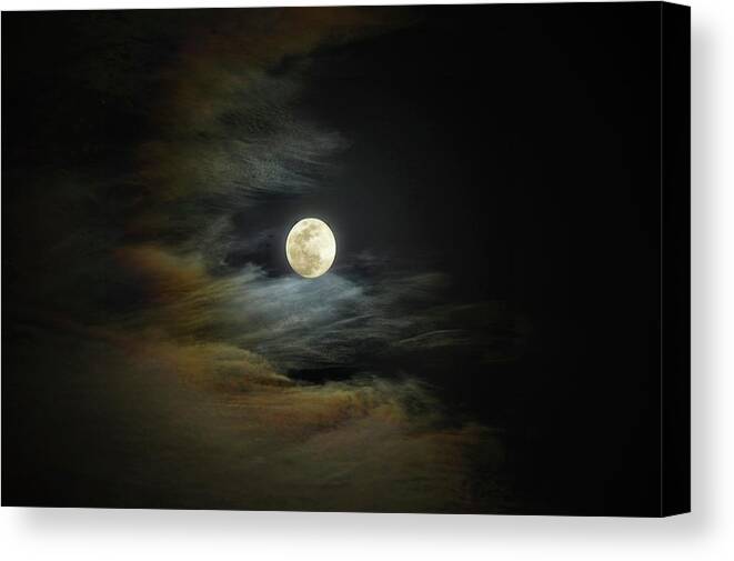 Moon Canvas Print featuring the photograph Moon Dog by Stoney Lawrentz