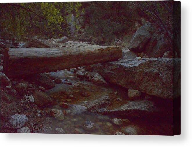 Creek Canvas Print featuring the photograph Moonlit Creek by Chance Kafka