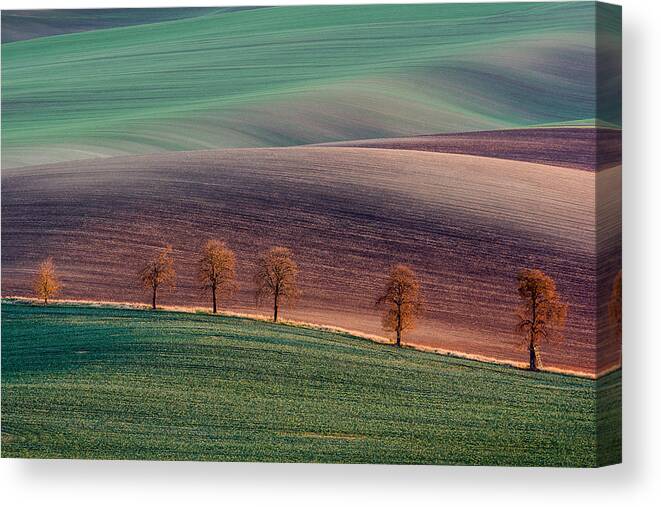 Landscape Canvas Print featuring the photograph Moravian Landscape by Zaiga Steina
