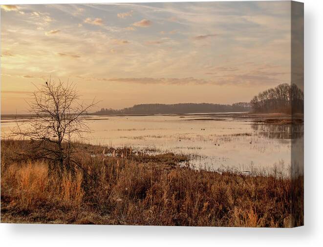 Bombay Hook Canvas Print featuring the photograph Morning At Boombay Hook by Kristia Adams