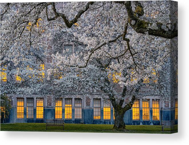 Morning Canvas Print featuring the photograph Morning At University Of Washington by Lydia Jacobs