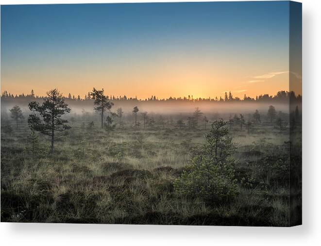 Landscape Canvas Print featuring the photograph Morning Fog And Sunrise In Torronsuo by Jani Riekkinen