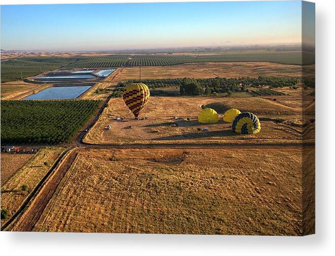 Napa Canvas Print featuring the photograph Morning with balloons by Lora Lee Chapman