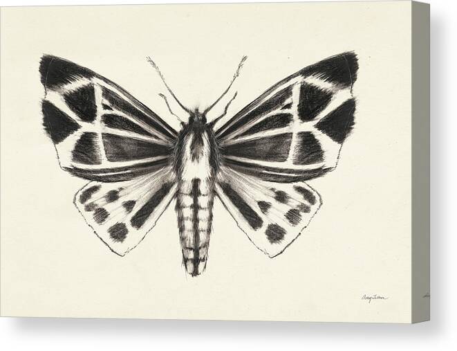 Animals Canvas Print featuring the painting Moth IIi by Avery Tillmon