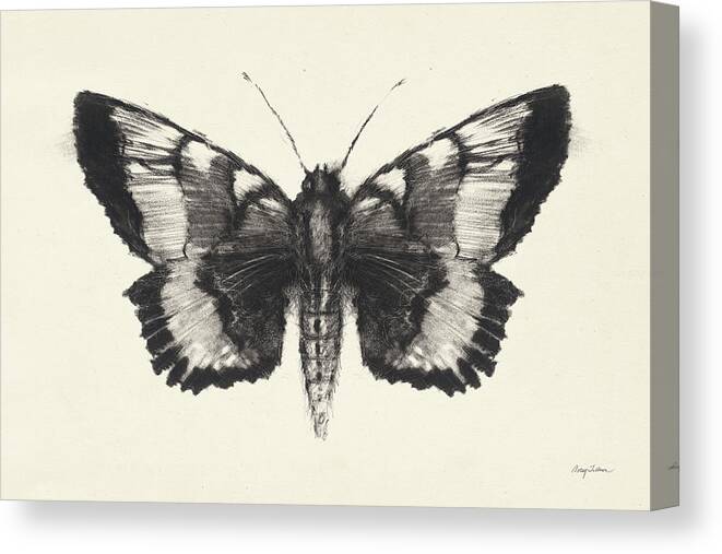 Animals Canvas Print featuring the painting Moth V by Avery Tillmon