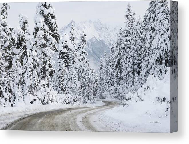 Pacific Northwest Canvas Print featuring the photograph Mount Baker Highway I by Alan Majchrowicz