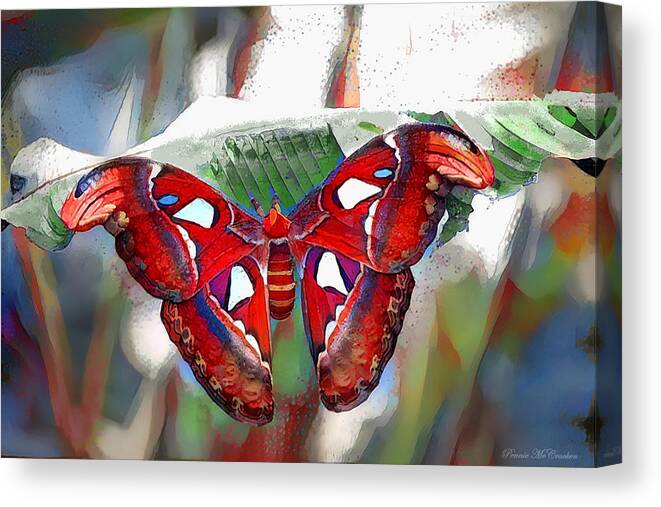 Butterfly Canvas Print featuring the digital art Ms. Butterfly by Pennie McCracken