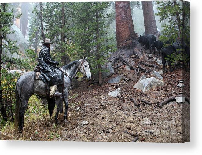 Horse Canvas Print featuring the photograph Mud Riding by Diane Bohna