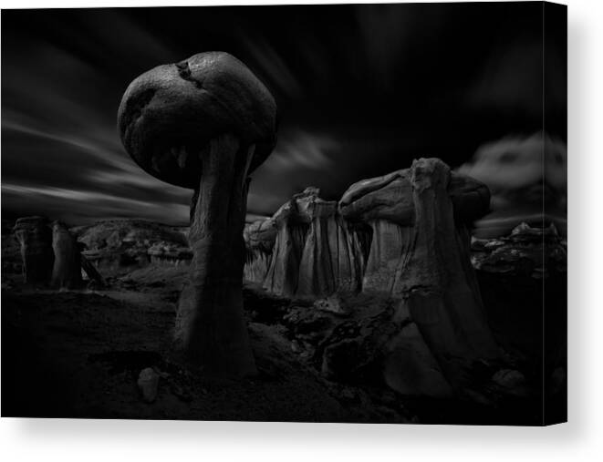 Hoodoos Canvas Print featuring the photograph Mushroom by Chao Feng ??