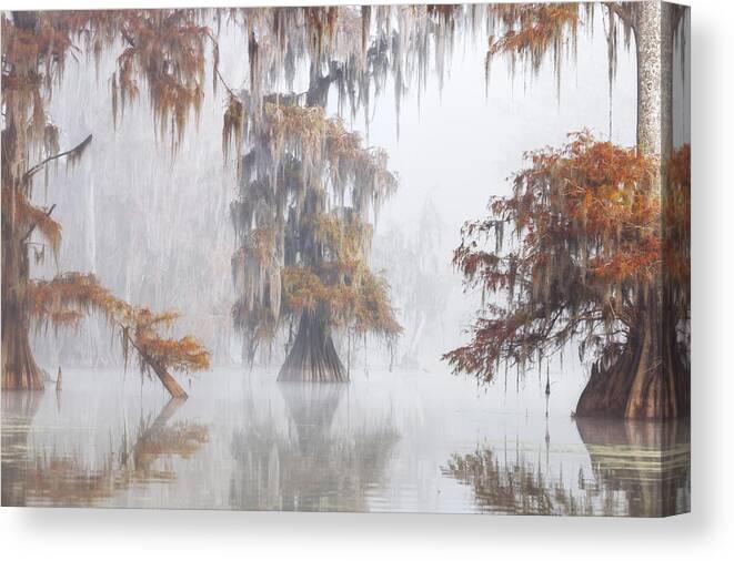 Landscape Canvas Print featuring the photograph Mysty Bayou by Roberto Marchegiani