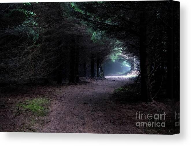 Wood Canvas Print featuring the photograph Narrow Path Through Foggy Mysterious Forest by Andreas Berthold