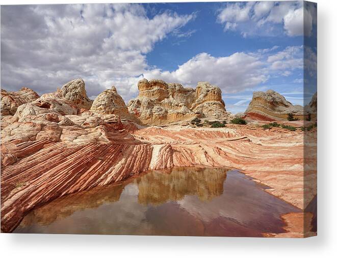 White Pocket Canvas Print featuring the photograph Natural Architecture by Leda Robertson