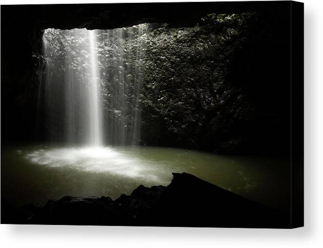 Tropical Rainforest Canvas Print featuring the photograph Natural Bridge Waterfall, Queensland by Veni