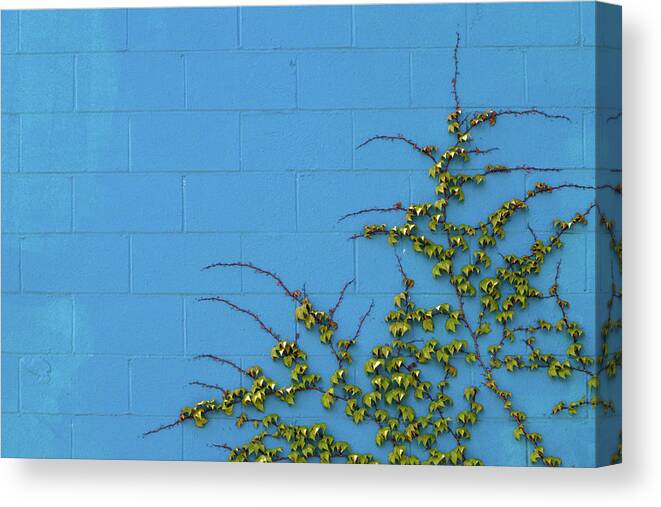 Urban Canvas Print featuring the photograph Naturally Minimal by Stuart Allen