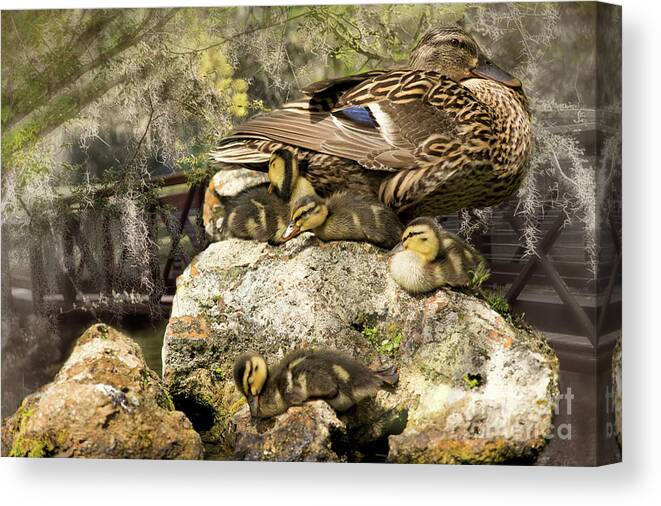 Spring Renewal Canvas Print featuring the photograph Natures Masterpiece by Mary Lou Chmura