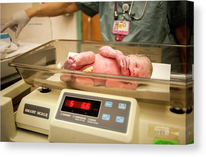 https://render.fineartamerica.com/images/rendered/default/canvas-print/10/6.5/mirror/break/images/artworkimages/medium/2/newborn-baby-on-weight-scale-in-hospital-cavan-images-canvas-print.jpg