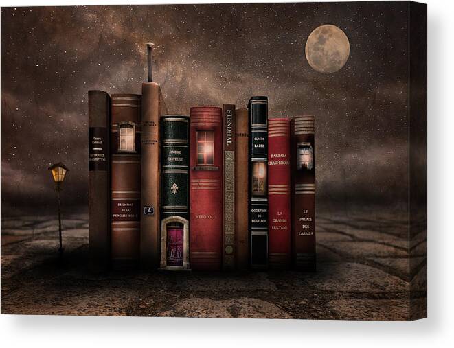 Night Canvas Print featuring the photograph Night Library by Muriel Vekemans