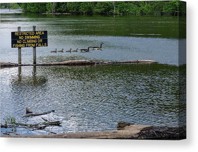 Water Canvas Print featuring the photograph No Swimming by Kristi Swift