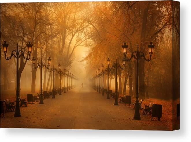 Perspective Canvas Print featuring the photograph November Morning by Cristian Andreescu