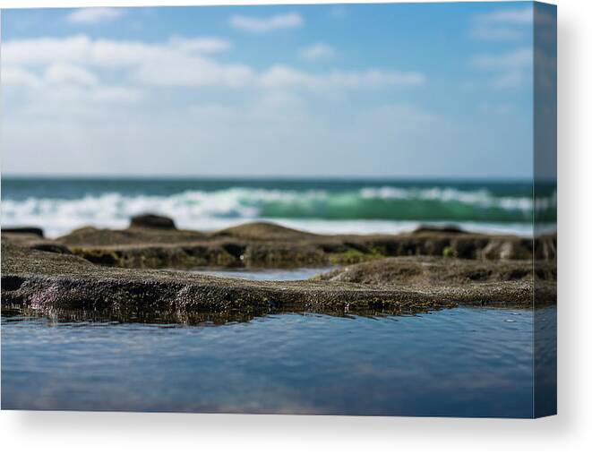 Landscape Canvas Print featuring the photograph Ocean beach tide pools by Local Snaps Photography