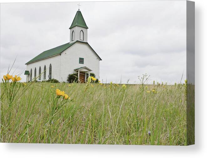 Grass Canvas Print featuring the photograph Old Church On The Prairie by Shannonforehand