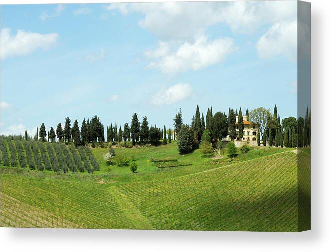 Scenics Canvas Print featuring the photograph Old Farmhouse And Vineyard Landscape by Lisa-blue