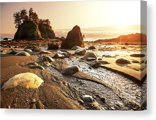Olympic Canvas Print featuring the photograph Olympic National Park Landscapes by Galyna Andrushko