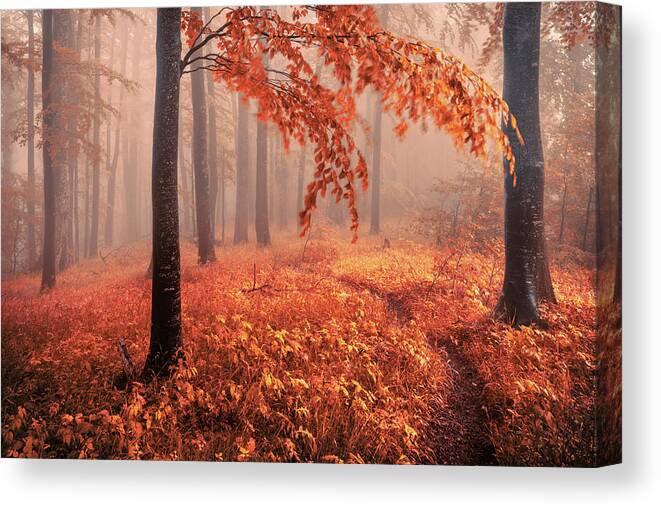 Mountain Canvas Print featuring the photograph Orange Wood by Evgeni Dinev