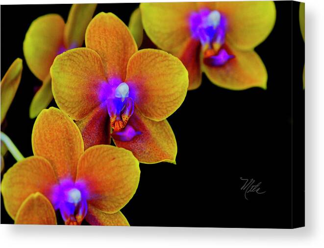 Orchid Canvas Print featuring the photograph Orchid Study Ten by Meta Gatschenberger