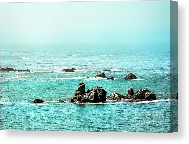 Cape Lookout Oregon Canvas Print featuring the photograph Oregon Coast 0593 by Amyn Nasser Photographer