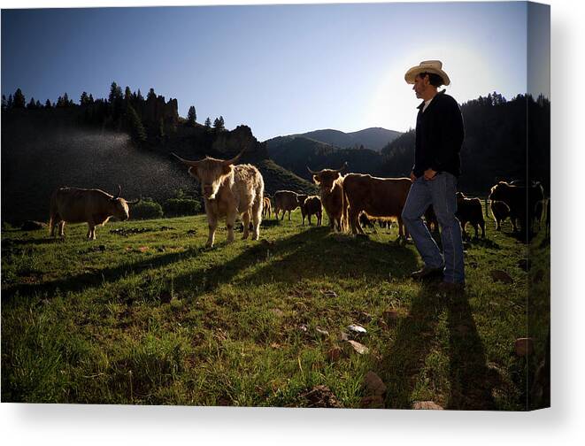 People Canvas Print featuring the photograph Organic Beef Farmer Rancher by Seanfboggs
