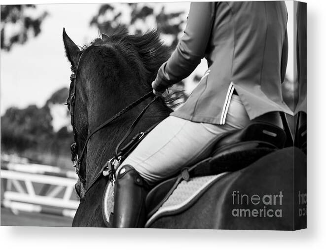 Horse Canvas Print featuring the photograph Outside Rein by Michelle Wrighton