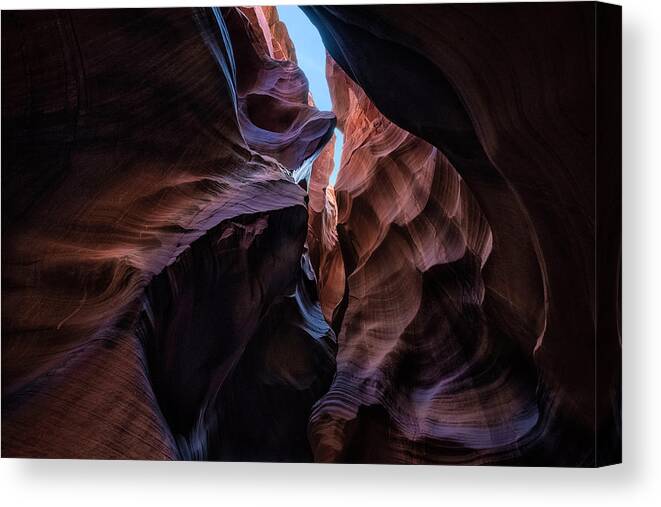 Arizona Canvas Print featuring the photograph Over My Head by Robert Fawcett
