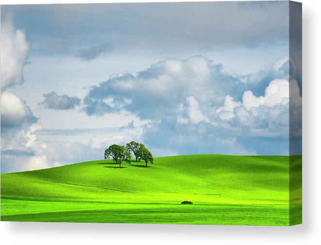 Minimalist Canvas Print featuring the photograph Over Younder by Dee Browning