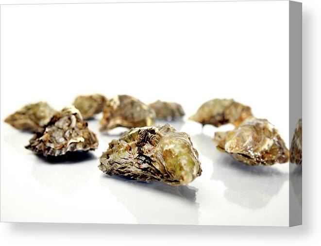 Oyster Canvas Print featuring the photograph Oysters In Their Shells by Garysludden