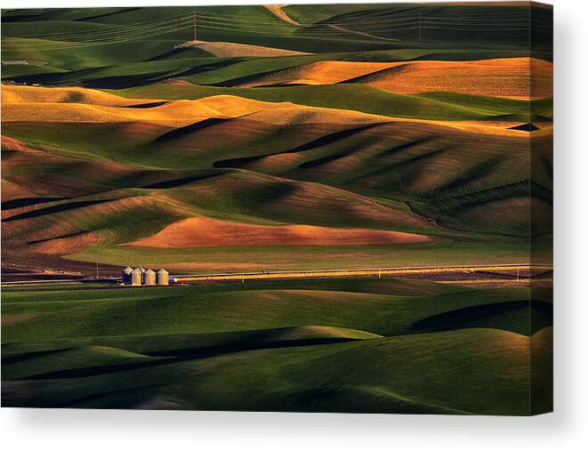 Palouse Canvas Print featuring the photograph Palette by Lydia Jacobs