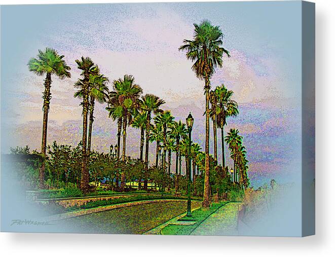 Palm Canvas Print featuring the photograph Palms in The Mist by Pat Wagner