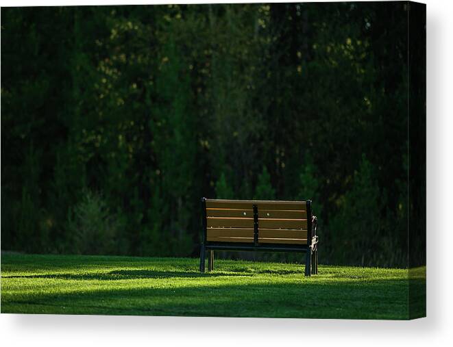Bench Canvas Print featuring the photograph Park bench at sunrise by Julieta Belmont