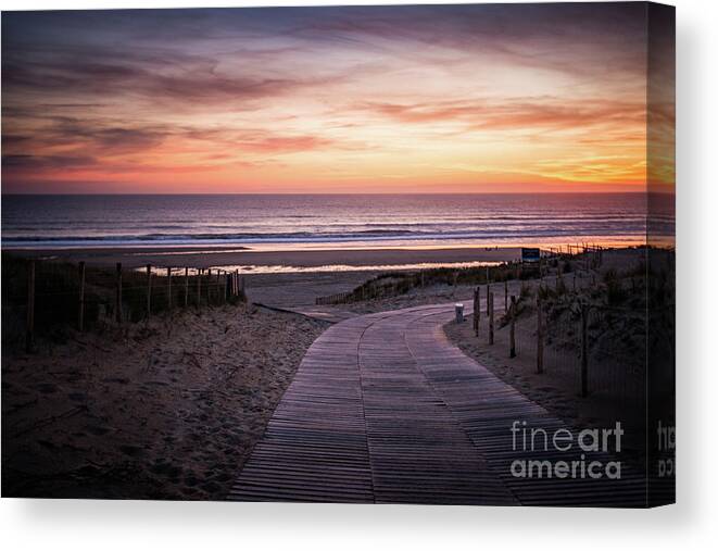 _flora Canvas Print featuring the photograph Path To The Sea by Hannes Cmarits