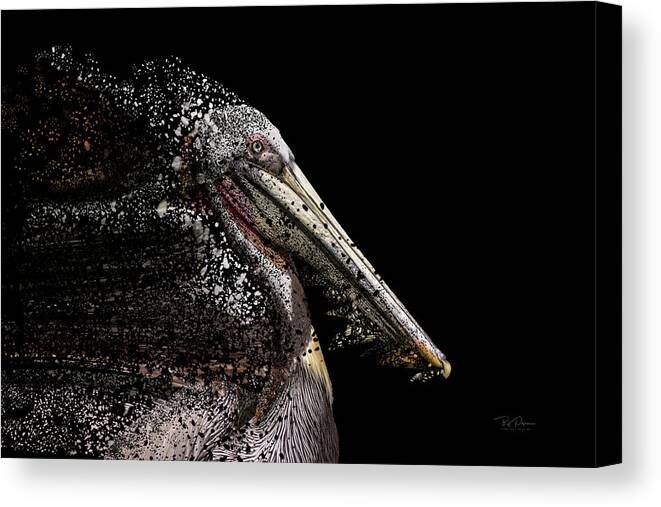 Advengers Canvas Print featuring the photograph Pelican Puzzle by Bill Posner