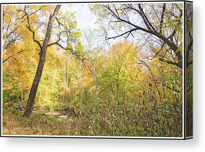 Philadelphia Canvas Print featuring the photograph Pennypack Woods, Philadelphia Landmark, Autumn by A Macarthur Gurmankin
