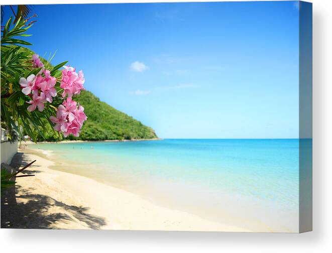 Eco Tourism Canvas Print featuring the photograph Perfect Beach by Jaminwell