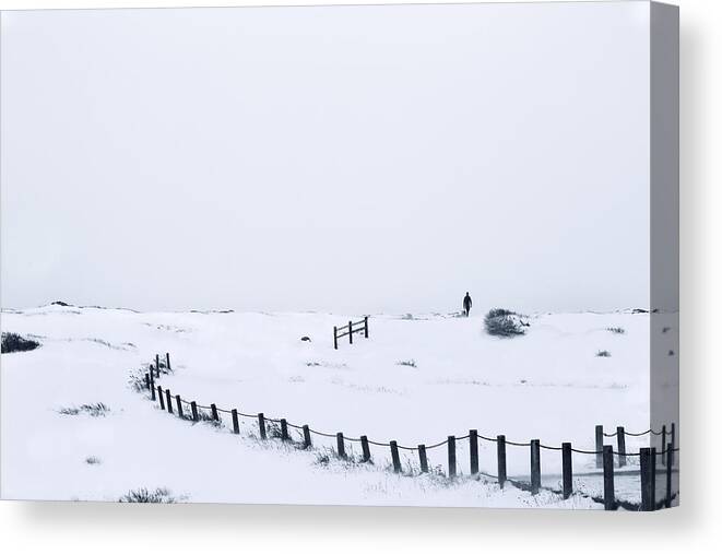Field Canvas Print featuring the photograph Photographer In Colorado by Shawn Yang
