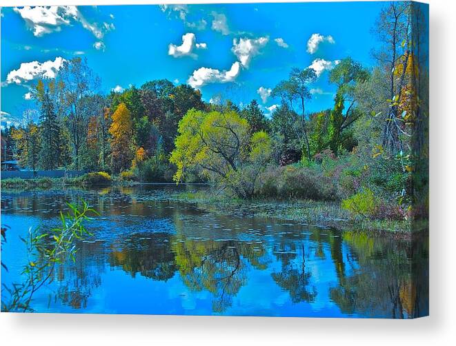 Landscape Canvas Print featuring the photograph Feeling Blue by Marty Klar