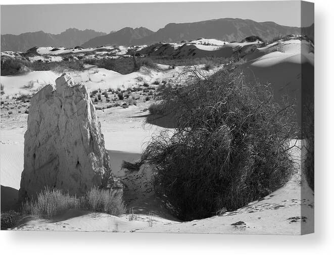 Richard E. Porter Canvas Print featuring the photograph Pillar and Bush - White Sands National Monument, New Mexico by Richard Porter