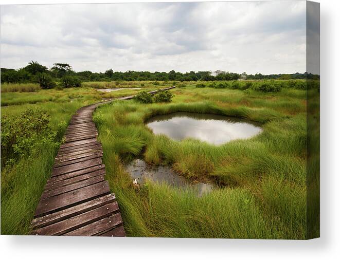 Tranquility Canvas Print featuring the photograph Plank Walkway Over Sulfuric Swamp by Universal Stopping Point Photography