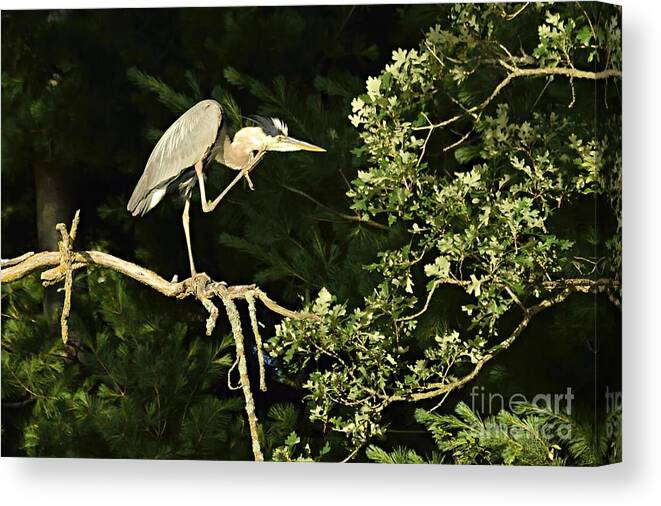 Photography Canvas Print featuring the photograph Please Speak Up by Larry Ricker