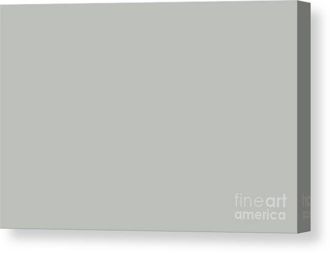 Muted Canvas Print featuring the digital art PPG Glidden Trending Colors of 2019 Solstice Green PPG1010-3 Solid Color by PIPA Fine Art - Simply Solid